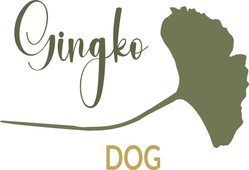 Éducatrice comportementaliste canine à Nancy | Gingko Dog