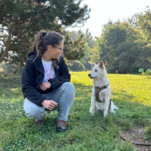 Accueil ginkgo dog bilan education canine lien binome humain chien