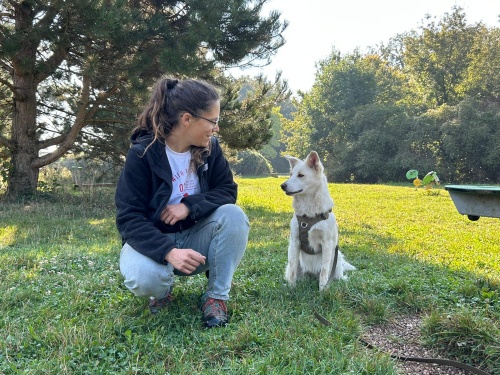 ginkgo dog education canine lien binome humain chien ginkgo dog bilan education canine lien binome humain chien