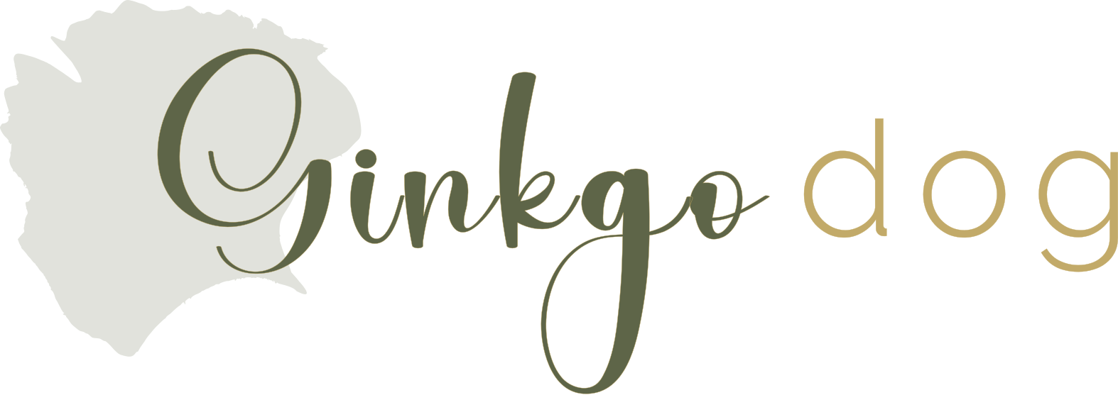 2header ginkgo dog educatrice canine positive nancy laxou villers 2header ginkgo dog educatrice canine positive nancy laxou villers